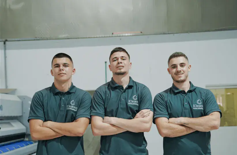 Professional cleaning team